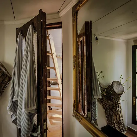 Loft Treehouse Pesteana