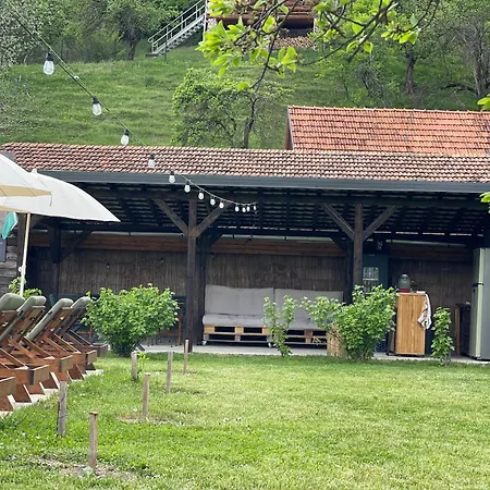 Loft Treehouse Pesteana